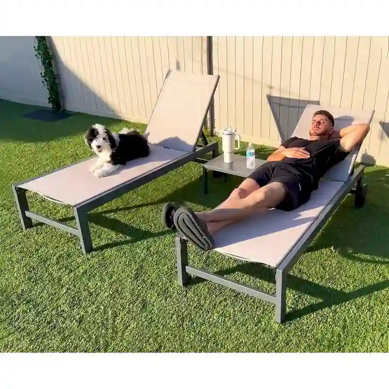 PURPLE LEAF Ensemble de 2 chaises longues de jardin, transats d'extérieur avec cadre en aluminium